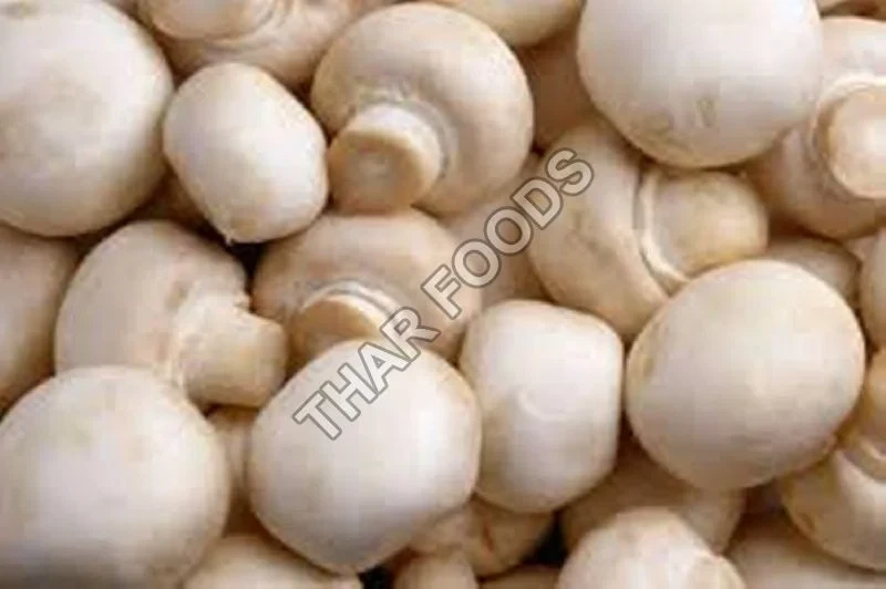 Fresh Button Mushroom