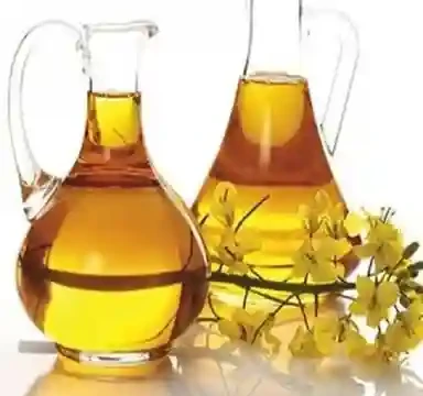 Pure Refined Rapeseed Oil