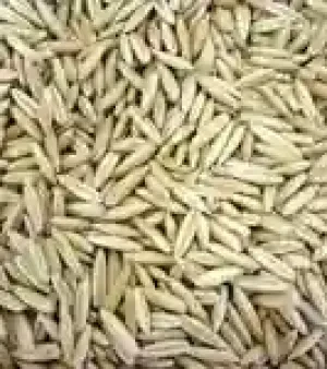 Oats